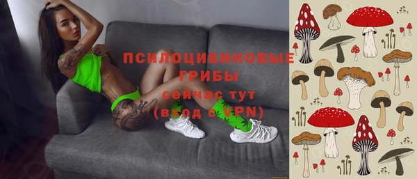 гашик Богородск