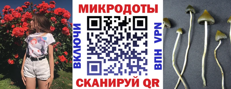 Галлюциногенные грибы мухоморы Каргат